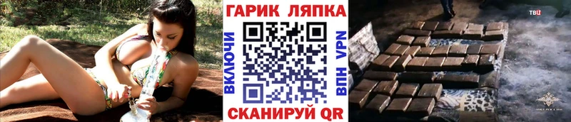 Гашиш индика сатива Алагир