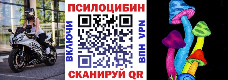 Псилоцибиновые грибы Psilocybe Алагир